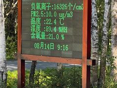 -汤旺河林海奇石景区