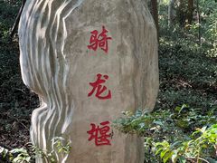 -上海佘山国家森林公园天马山园