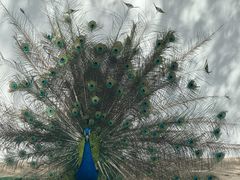 -水上乐园·欢乐世界