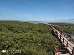 -北海金海湾红树林生态旅游区