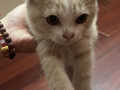 -伍湛记 · 广州老字号(龙津中路店)