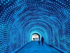 -栾川竹海野生动物园