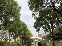 -新江湾城公园