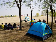 -东郊湿地公园