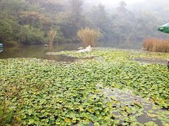 -天目湖山水园