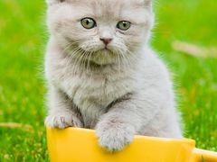 -川竹火锅(创业城店)