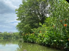 -摇橹船上船码头