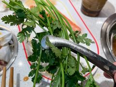 -龍歌自助小火锅(城阳万象汇店)