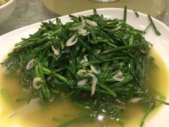 iphone_upload_pic-旺山·浪头人家