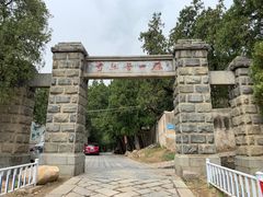 -泰山风景名胜区-普照寺