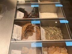 -iTAFE蓝火柴(新光汇店)