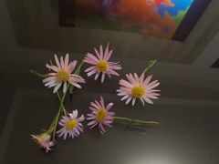 -翠清酒家(万丰路店)