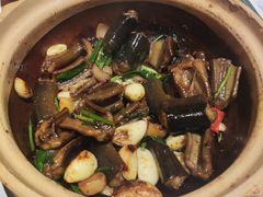 -新兴·金羊座·粤菜点心(乐峰店)