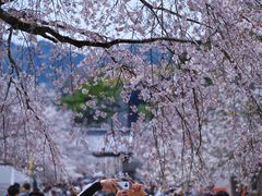 -醍醐寺