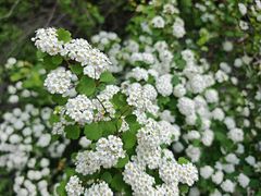 -龙潭大峡谷自然风景区