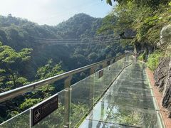-千岛湖石林