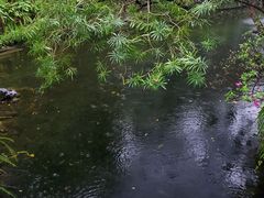 -广州兰圃