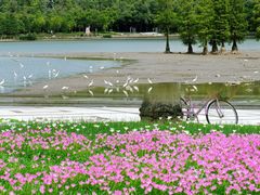 -顺峰山公园