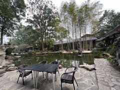 -南山植物园