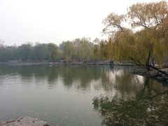 android_upload_pic-紫竹院公园冰场