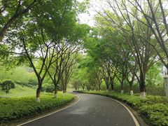 -重庆园博园