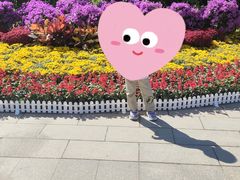 -大望京公园