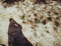 -上海佘山国家森林公园西佘山园