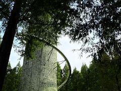 -黄海国家森林公园