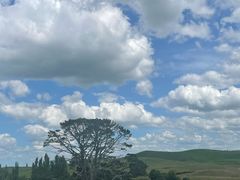 -霍比特人村