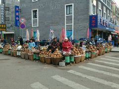 -溪口-滕头旅游景区