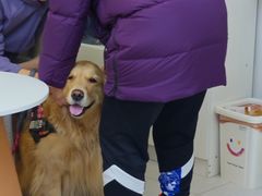 -达爱动物医院·犬猫分区·CT·复杂眼科(远洋山水分院)