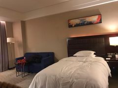 -上海浦东绿地铂骊酒店