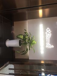 -苑苑vbeauty科技美容SPA