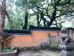 -普陀山风景名胜区-法雨禅寺