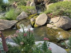 -罗红摄影艺术馆