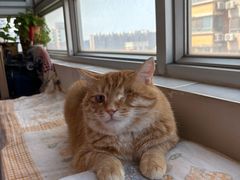 -达爱动物医院·犬猫分区·CT·复杂眼科(远洋山水分院)