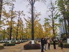 -百林公园-两江幸福广场