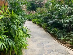 -南宫五洲植物乐园