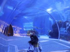 -成都浩海立方海洋公园