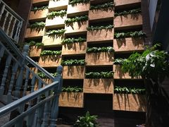 -御湾·浅水湾·贺胜土鸡汤(潜山店)