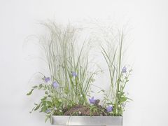 -荷兰布尔玛国际花艺学院