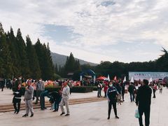 -紫金山天文台