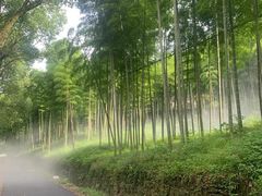 -东明山森林公园