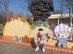 -上海长兴岛郊野公园