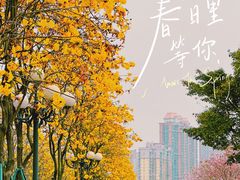-洲头咀公园