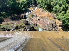 -广州白江湖森林公园