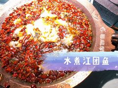 -雲蜀龙阁·金牌水煮鱼(方庄店)