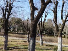-洨河生态公园