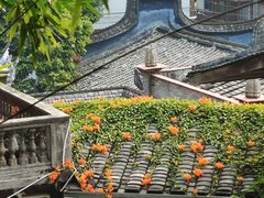 -乌山风景区