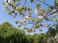 -上海共青森林公园